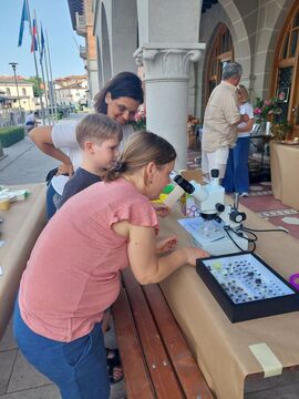 Skrivnosti cveta in čebele razkrite tudi odraslim (2)